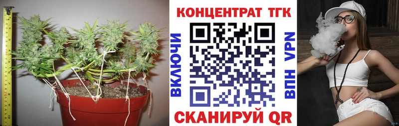 ТГК концентрат  купить наркотики цена  ОМГ ОМГ как зайти  Вытегра 