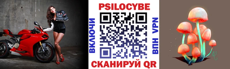 Галлюциногенные грибы Cubensis  Вытегра 